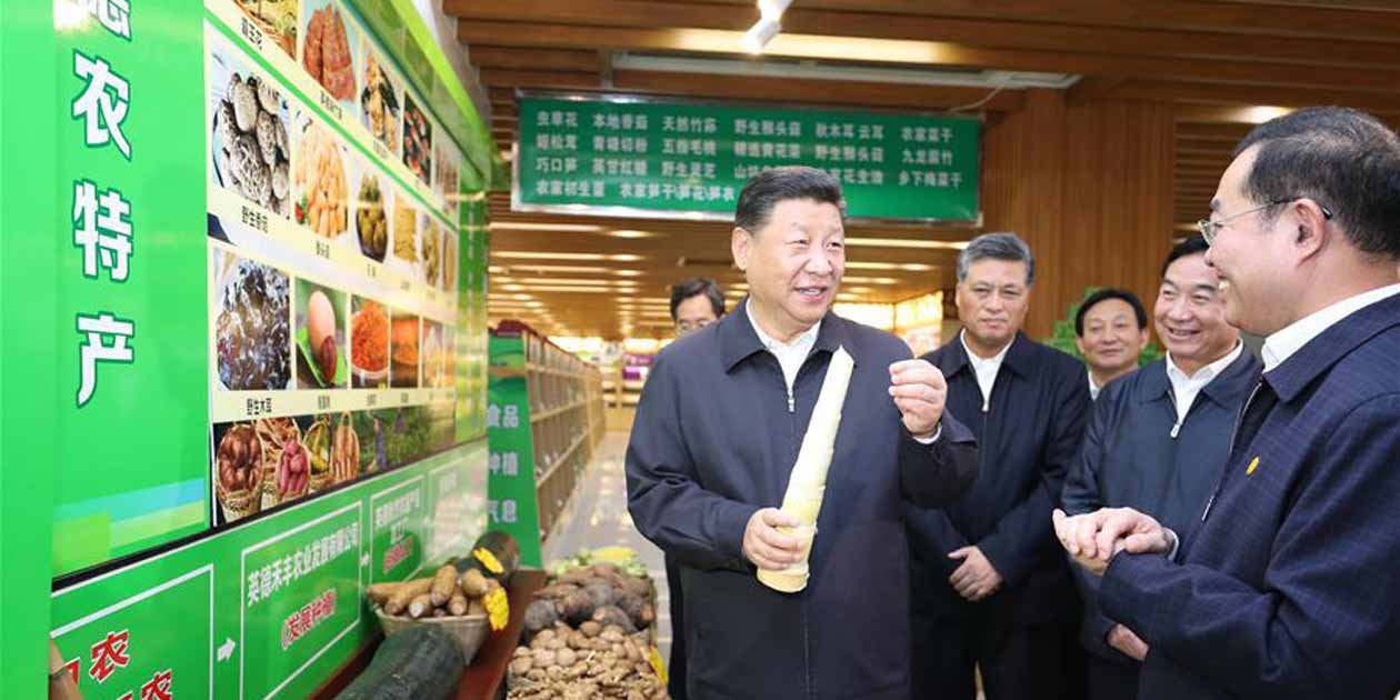 习近平在广东清远调研