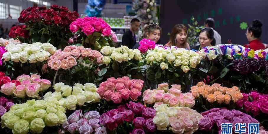 第20届中国昆明国际花卉展开幕