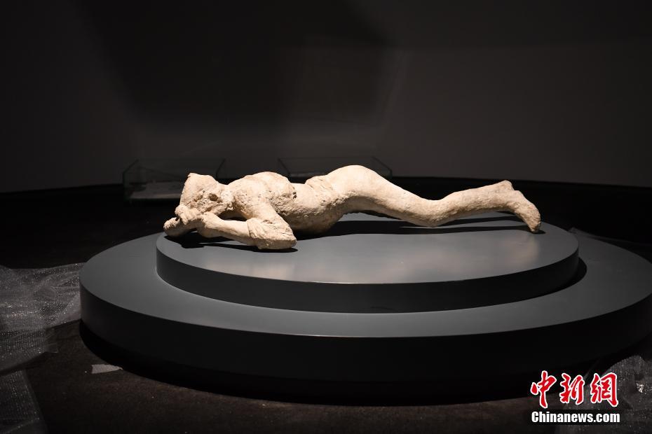 庞贝古城出土文物运抵成都 “罗马后花园”再现
