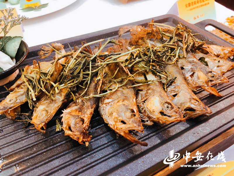 安徽举办烹饪职业技能