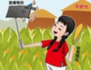 丰收节大量网民围观农