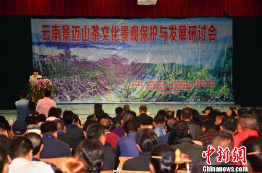 世界文化遗产专家齐聚云南澜沧