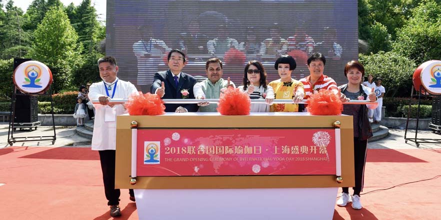 联合国第四届国际瑜伽