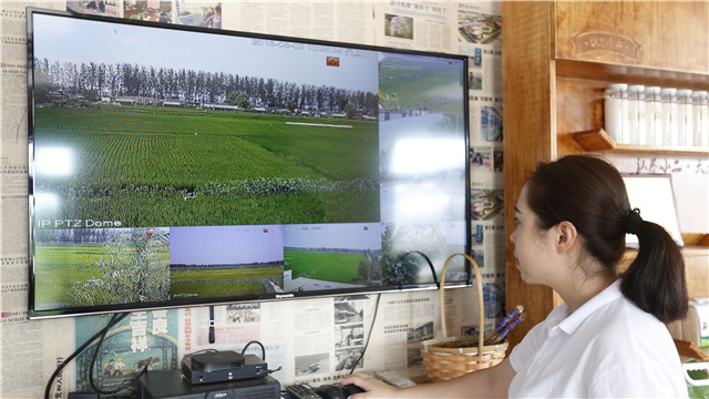 采用古法种植方式 提升农产品质量