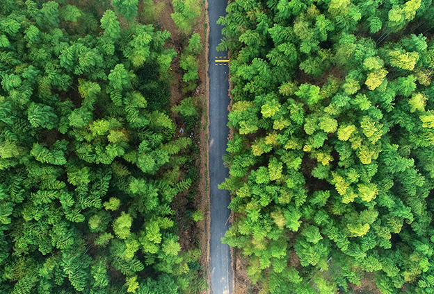 坚定不移走生态优先、绿色发展之路，始终秉持‘两山’理论，努力打造生态文明建设广德样板。