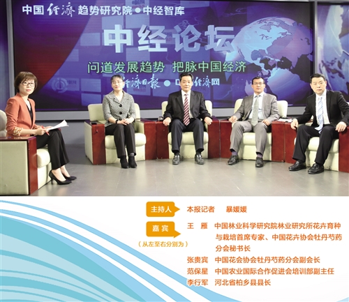 花卉产业如何实现高质