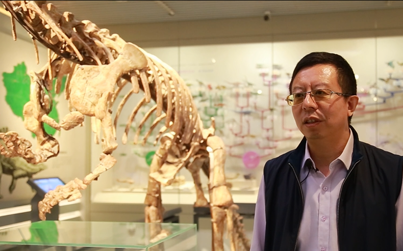 王军有内蒙古自然博物