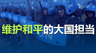 维护和平的大国担当