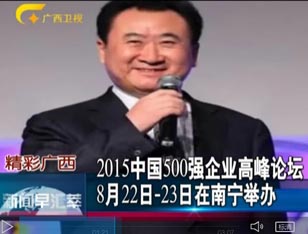 2015中国500强企业高峰论坛将在南宁举办 
