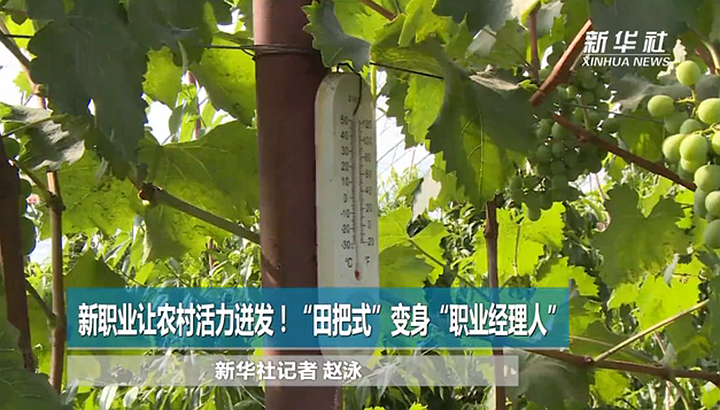 咱们村里的“新农民”